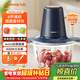 九陽(yáng)（Joyoung）絞肉機家用絞餡機碎肉機電動(dòng)多功能輔食料理機 打肉機肉餡蒜蓉機絞肉機2L S18-LA268 