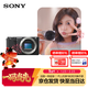 索尼（SONY）ZV-E10 半畫(huà)幅微單相機 單機身 美膚拍照 顏值機身 精準對焦 VLOG APS-C畫(huà)幅 黑色 