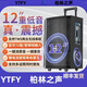 YTFY柏林之聲現代12寸戶(hù)外廣場(chǎng)舞音響便攜拉桿大音量功率藍牙k歌移動(dòng)音箱錄音 12寸震撼重低音音響