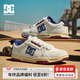 DCSHOES ASTRA CAS 2025秋冬新款時(shí)尚板鞋男鞋休閑百搭運動(dòng)情侶款鞋子男 航海米藍 【標準尺碼,正碼正拍】 41