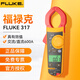 福祿克（FLUKE）鉗形表高精度真有效值數字鉗形表電流表鉗表 F317