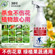 坤寧王花卉殺蟲(chóng)劑植物土壤綠蔬菜蚜蟲(chóng)小黑飛月季花草紅蜘蛛蚧殼蟲(chóng)500ml