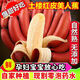鑫果滋紅美人香蕉 南靖土樓紅皮香蕉福建火龍蕉新鮮天寶香焦 土樓紅美人蕉 3斤