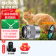 索尼（SONY） E50mm F1.8 OSS  APS-C畫(huà)幅 定焦  50F1.8半畫(huà)幅定焦鏡頭 街拍  特寫(xiě)人像 銀色E50F1.8+尼克斯49UV