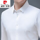 皮爾卡丹桑蠶絲長(cháng)袖襯衫男士春秋裝薄款無(wú)痕免燙純色中年爸爸裝休閑襯衣 白色 175/92【建議140-150斤】