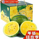 鮮其特小鳳西瓜新鮮水果當季現摘冰淇淋黃瓤黃心甜瓜薄皮黑籽整箱 3顆裝單果4-4.5斤