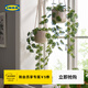 宜家（IKEA）FEJKA菲卡人造盆栽植物室內戶(hù)外懸掛綠植現代簡(jiǎn)約北歐風(fēng) 懸掛/龜背竹9cm