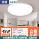惠普伯爵燈具大全2026款客廳臥室燈餐廳燈三防吸頂燈防水防蚊蟲(chóng)圓形過(guò)道燈 48W 白色35cm三色