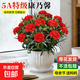 康乃馨盆栽花苗室內陽(yáng)臺綠植帶花苞重瓣四季開(kāi)花新手易種桌面花卉 紅色康乃馨+大白花盆+肥料