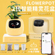 IVY二代情緒綠植萌寵機器人智能花盆栽桌搭擺件創(chuàng  )意男女生日禮物 二代黃色+送植物一起發(fā)