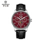 羅蘭度（ROLENDO）飛行員精英款多功能男表全自動(dòng)機械手表男士休閑腕表送禮瑞士品質(zhì) 黑皮紅面【飛行員精英款】