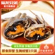 陸龍花雕生腌酒醉非熟醉蟹 全母3蟹只 大螃蟹 開(kāi)蓋即食醬河蟹600g*1瓶