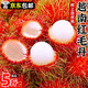 正宗越南紅毛丹新鮮進(jìn)口水果5斤毛荔枝毛丹果熱帶紅牡丹當季整箱 3斤精選品質(zhì)【京東快遞】 5A級