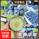 【精品】云南新鮮藍莓當季脆甜孕婦寶寶輔食護眼水果現摘 18+mm【4盒裝】