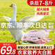王氏正德 農家散養大白鵝整只 新鮮冷凍鵝肉嫩鵝土鵝 大鵝生鮮 大鵝凈重7-8斤