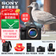 索尼（SONY）Alpha 7 V 全畫(huà)幅微單相機 a7m5 約30張/秒高速連拍 S35模式4K（ILCE-7M5/A7M5）注冊發(fā)貨享紅包 單機身（含雙肩包） 官方標配