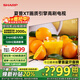 SHARP夏普 55英寸超清4K 120HZ高刷智慧語(yǔ)音GL6500A 3+64G智能網(wǎng)絡(luò )液晶平板電視機護眼電視 55英寸 線(xiàn)下專(zhuān)柜同款