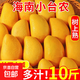 海南小臺農芒果10斤新鮮小臺芒當季特產(chǎn)水果現摘芒果大果【活動(dòng)】 單果80g+（帶箱8斤）