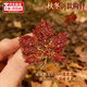 水云淼楓葉胸針高檔女西裝配飾大氣時(shí)尚2026新款小眾輕奢高級感高端胸針 水鉆楓葉胸針【最新款】