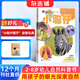送好禮 小聰仔自然科普版雜志 2026年1月起訂閱 1年共12期 2-8歲幼兒科普百科通識教育 激發(fā)學(xué)習興趣增長(cháng)知識 自然動(dòng)物科普 兒童智力開(kāi)發(fā)雜志鋪雜志訂閱 專(zhuān)家精華之作 非過(guò)期刊