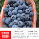 帶土球發(fā)貨藍莓苗藍莓樹(shù)苗帶花帶果發(fā)貨盆栽地栽庭院陽(yáng)臺當年結果 L6【6年大苗當年結果】