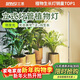 三思植物補光燈仿太陽(yáng)全光譜 全光譜植物燈 室內植物生長(cháng)燈-80W側發(fā)光