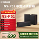 雅馬哈（YAMAHA）NS-P51 中置環(huán)繞音箱 家庭影院套裝HiFi音響家用音響木質(zhì)套裝 經(jīng)濟 | 中置環(huán)繞（不含功放）P51胡桃木色