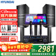 HYUNDAI現代家庭ktv音響唱K歌設備全套裝 家用影院點(diǎn)歌機一體機 卡拉ok點(diǎn)唱機組合套裝音響 【TOP1冠軍】2025專(zhuān)業(yè)版10吋套裝