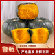 魯甄貝貝南瓜 粉糯板栗瓜 新鮮蔬菜 4.5斤 單果250g+4-8個(gè)