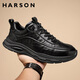 哈森（Harson）頭層牛皮男鞋春季新款低幫百搭商務(wù)休閑皮鞋男真皮潮流板鞋黑色41