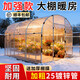 【順豐包郵】家用陽(yáng)光棚植物保溫花棚家用溫室防凍蔬菜大棚陽(yáng)光房 2米寬*2米長(cháng)*2米高【送加厚無(wú)滴膜】