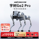 宇樹(shù)（Unitree）Go2 Pro長(cháng)續航+遙控器版本 機器機器狗 AI大模型 四足機器人 語(yǔ)音交互 具身智能  仿生陪伴機器人