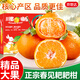 京地達四川蒲江春見(jiàn)耙耙柑凈重9斤單果80mm正宗粑粑柑水果源頭直發(fā)包郵