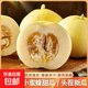 郁金香甜瓜云南正宗香瓜新鮮超甜蜜瓜香瓜甜瓜香瓜冰淇淋甜瓜整箱 帶箱5斤【大果】單果300g