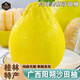南步廣西陽(yáng)朔沙田柚 桂林特產(chǎn)興坪老樹(shù)冰糖柚子非梅州容縣柚新鮮水果 10斤 老樹(shù)果【單果約2斤】