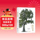 樹(shù)的故事：改變人類(lèi)生活的100種樹(shù)