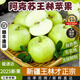 櫻鮮正宗新疆王林蘋(píng)果【產(chǎn)地直達】新鮮水果阿克蘇青森青蘋(píng)果整箱順豐 80mm-85mm 【大果】新疆直發(fā) 順豐 8斤