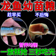金龍魚(yú)幼苗飼料專(zhuān)用魚(yú)食蝦干紅龍魚(yú)海水魚(yú)沉高蛋白蝦卵增色小顆粒 1瓶【豐年蝦卵】幼魚(yú)