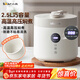 小熊（Bear）電壓力鍋 電高壓鍋 小型智能高壓電飯鍋 家用多功能迷你可打火鍋 YLB-C25R5 2.5升2~3人