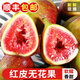 探味君【順豐-多地次日達】新鮮紅皮無(wú)花果 應當季水果云南青紫皮格萊斯 凈重1.8-2斤（實(shí)惠裝）