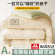 紅蜻蜓（RED DRAGONFLY）抗菌大豆被子冬被8-10斤冬天加厚被子200x230cm家用單雙人棉被 良品-白果綠【抗菌大豆填充】 200x230cm 【重約6斤】秋冬被