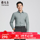 雅戈爾（YOUNGOR）長(cháng)袖襯衫男秋冬青年男士襯衫TR多組份面料柔軟光澤商場(chǎng)同款 淺綠素色YLTR115545SJY 40