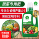 蔬菜專(zhuān)用營(yíng)養液有機肥料蔬菜專(zhuān)用家用陽(yáng)臺種菜專(zhuān)用肥肥料蔬菜用 2瓶蔬菜專(zhuān)用營(yíng)養液