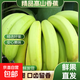 高山香蕉廣西產(chǎn)地直發(fā)薄皮青果軟糯香甜自然熟當季新鮮采摘純天然 高山香蕉帶箱9斤單果110g+