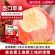 隰(xi)悅【順豐】生鮮整箱蘋(píng)果水果山西吉縣蘋(píng)果紅富士送禮禮盒年貨特產(chǎn) 12粒大果（約6斤）80-90mm