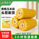 【東東農場(chǎng)專(zhuān)供】正宗頭茬東北新鮮糯玉米軟糯拉絲真空包裝早餐 黃糯玉米2支*150g+