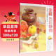 8開(kāi)《全解色彩靜物》水粉畫(huà)臨摹書(shū)籍中國美院課件美術(shù)高考入門(mén)教材聯(lián)考沖刺寫(xiě)生畫(huà)照片范本零基礎教程楊建飛