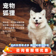 暮秋小主網(wǎng)紅家養狐貍活體幼崽雪狐白狐白化熊貓狐冰島狐寵物狐貍活物幼寵 狐貍通用糧食5斤