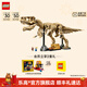 樂(lè )高（LEGO）積木 76968恐龍化石霸王龍 新品玩具新年裝飾禮物【D2C限定款】