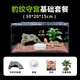 品云美寵爬蟲(chóng)亞克力飼養盒豹紋守宮肥尾睫角爬寵飼養箱 守宮豹紋基礎套餐